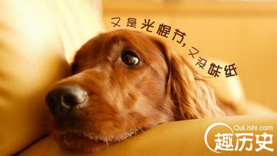 来看看不同国家光棍节怎么过 单身要交单身税？
