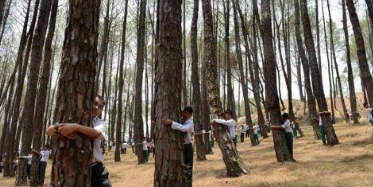 &ldquo;一人不进庙、二人不看井、三人不抱树&rdquo;是什么意思？每一句都深藏哲理！