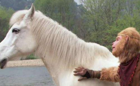 《西游记》原著中牵马的是谁?为什么悟空和八戒都不合适?