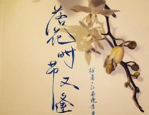 “落花时节又逢君”!杜甫心中的“落花”是什么?